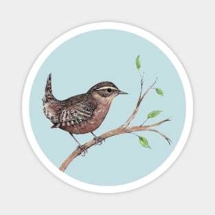 Coloured ink drawing of a wren Magnet